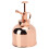 Beautiful Hand Pressure Watering Can Pot Spray 15