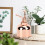 Beautiful Hand Pressure Watering Can Pot Spray 2