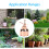 Beautiful Hand Pressure Watering Can Pot Spray 11