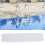 Swimming Pool Plastic Anti-Slip Ladders Step 5