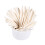 100 Pcs/Set Colorful Lollipop Sticks Cake Pop 1