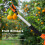Fruit Picker Scissors Cutter for Grapes Peach 15