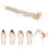 Corrector para dedo martillo, talla única, 9,0 g, piel 1