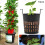 10Pcs High Quality Mesh Pot Net Basket Hydroponic 3