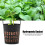 10Pcs High Quality Mesh Pot Net Basket Hydroponic 4