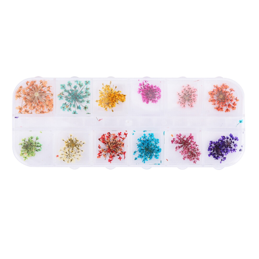 12 Colors Natural Dried Flower for Acrylic UV Gel