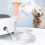1Set Pet Compression Nebulizer compatible with Animal Use, Pet Nebulizer, Cat and Dog Electronic Nebulizer EU PL 3