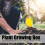 5 Set Reusable Plant Grafting Cutting Rooting 14