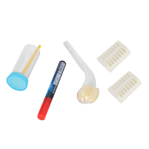 Queen Bee Marking Pen Set with Marker Bottle 1