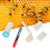 Queen Bee Marking Pen Set with Marker Bottle 12