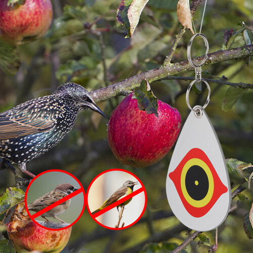5Pcs Eye Pattern Reflective Bird Repellent 2