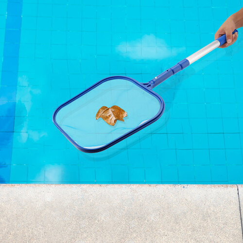 Swimming Pool Leaf Skimmer Mesh Net with 2