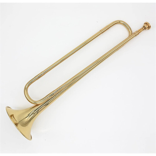 Professional Brass B-Flat Trumpet Bugle for Students and Beginners Gold Plated Playable Musical Instrument 2