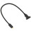 Cable de extensión USB 0.3m USB3.1 Type-C M-F, 10Gbps 4