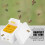 Harvest Bee Hive Beekeeping King Box Pollination 2