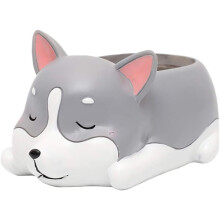 Mehevä kaktuskukkaruukku - Kawaii Animal Söpö uninen koira