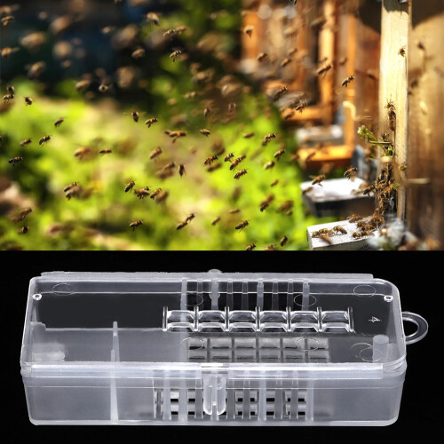 10pcs Plastic Beekeeping Rearing Cup Kit Bee Queen 2