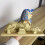 Sphinx Model Building Kit – Micro Mini Bricks Blocks Toy for Ancient Egyptian History, Compatible with Creative Play 4