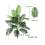 (120cm 18leaves) Tall Artificial Palm Tree with Monstera Leaves 2
