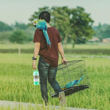 Tragbare Vogel-Futterspendertassen Sicher Abnehmbar Tragbare Vogel-Futter- und Wasserbox für Vögel Papageien