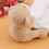 Lovely Bear Plush Soother Security Blanket Soft 6