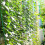 Trellis Netting Plant Support Net for Climbing 6