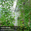Trellis Netting Plant Support Net for Climbing 8