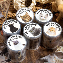 6pcs Cat Rally Decorative Adhesive Tape Set for Bullet Journals, Scrapbooking, DIY Crafts, Planners - PET Material