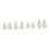 Halloween Party False Teeth Set Cosplay Dentures 15