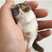 Needle Felting Kit for Adults, Cat Animal Felting Kit with Tools, 100% Wool Material, Easy to Use Craft Supplies
