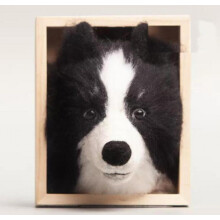 Border Collie Dog Needle Felting Kit for Adults, Includes Wool Roving, Needles, Soft Base, Easy Instructions