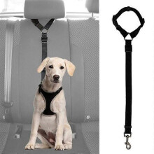 Autogordel voor huisdieren - Harnas - Zwart - Verstelbaar - Nylon - Voor honden en katten