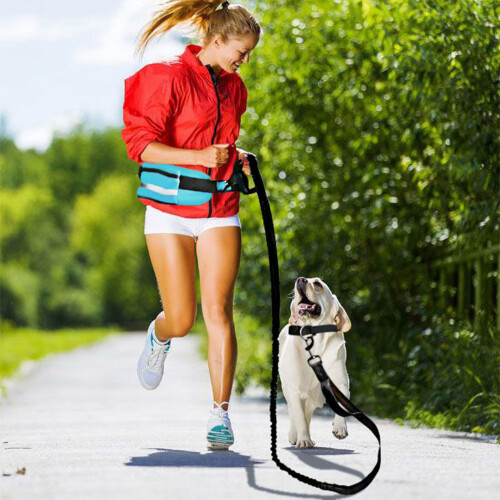 Reflective Elastic Dog Running Belt Bag Set, Sky Blue, Adjustable 2