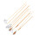Multi-Function Ear Cleaner Kit Goose Stainless Steel Ear Pick Wax Removal Tool 9