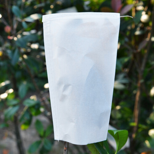 Envelop Vegetable Parchment Seeds Breeding Storage 2