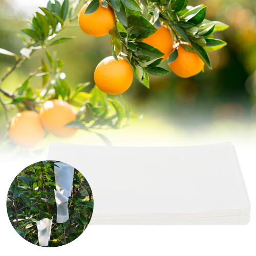 Envelop Vegetable Parchment Seeds Breeding Storage 1