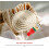 Knitting Spool Tool Set - Wooden Yarn Craft Maker Kit for DIY Projects, Includes Assorted Spools and Accessories 2