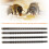 4Pcs Bee Cell Bars Strips with 50Pcs Cell Cups 4