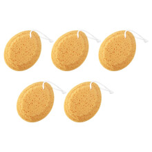 5Pcs Natural Sea Sponge Shower Bath Set with Hanging Rope, Exfoliating Body Sponge for Adults, Soft and Durable