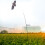 7m Bird Pest Scarer Repeller Kite Bird Repeller 2