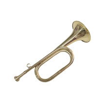 Trumpets for Beginners Copper B Flat Trumpet Musical Instrument Exquisite Craft with 7C Mouthpiece and Carrying Case
