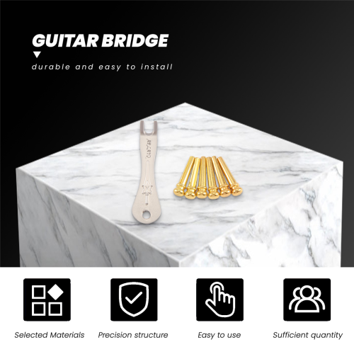 Guitar Bridge Pins 6Pcs Brass Endpin for Acoustic with Pin Puller 2