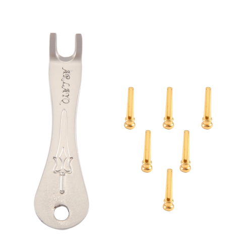 Guitar Bridge Pins 6Pcs Brass Endpin for Acoustic with Pin Puller 1