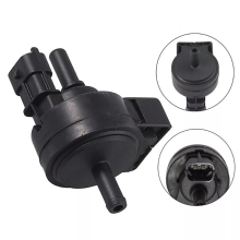 Car Petrol Evaporation Purge Solenoid Valve 0280142487 55566514 for Cn