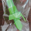 Manual Fruit Atomize Kitchen Cooking Tools Squeezer Applicable 6