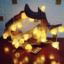 String Lights Battery 10 LED Natural Crystal Salt Warm Indoor Outdoor Home Decor