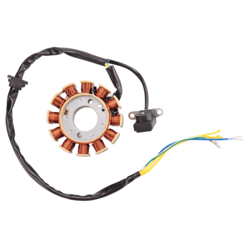 Coil 12 Pole Stator DC Ignition for GY6 125Cc 150Cc