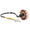 Coil 12 Pole Stator DC Ignition for GY6 125Cc 150Cc 3