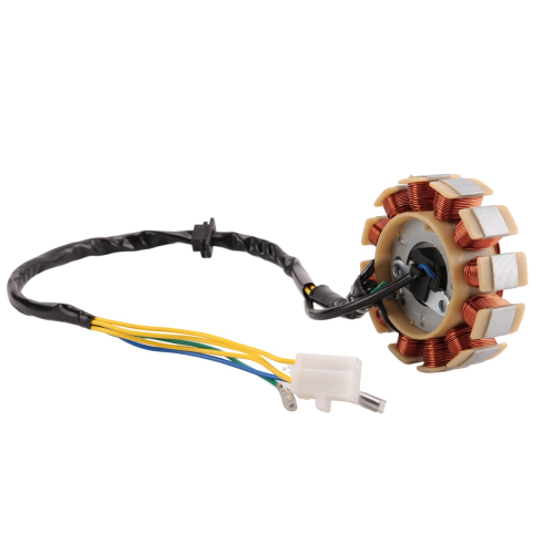 Coil 12 Pole Stator DC Ignition for GY6 125Cc 150Cc 2