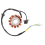 Coil 12 Pole Stator DC Ignition for GY6 125Cc 150Cc 2